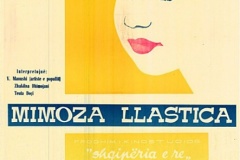 Mimoza-e-llasticave